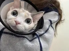 ?譵炱Mn蠼?蝿袎乹幧S欻f腘膈w忮賕盔_S	Eき挜?\?盨)塙i7暒r辺耬 -爱游戏官方入口